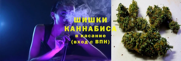 соль курить ск Алзамай