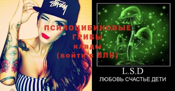 соль курить ск Алзамай
