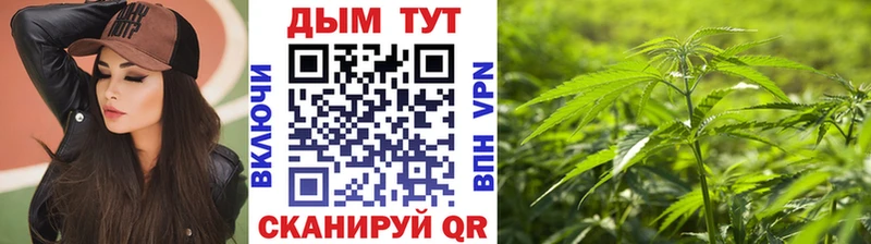 купить наркоту  Апрелевка  Марихуана конопля 